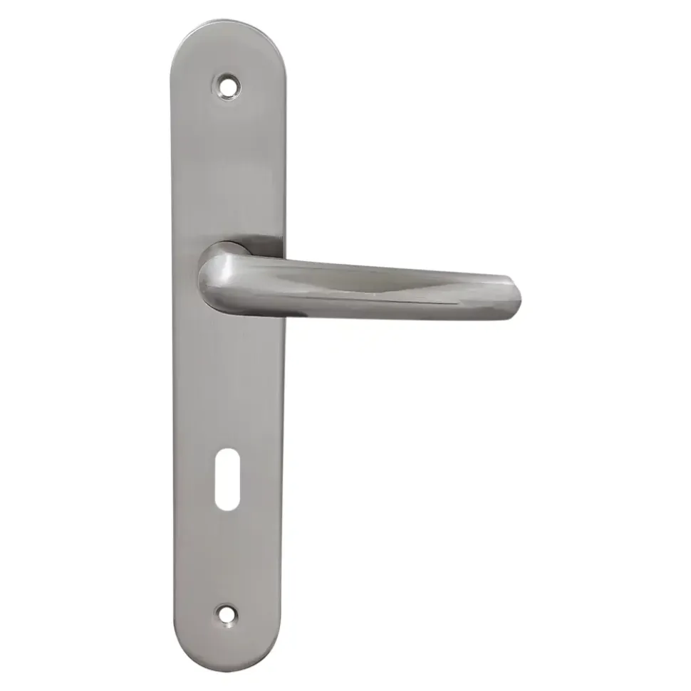 2 poignées de porte sur plaque rond avec serrure Amga, entraxe 195mm, coloris gris satiné