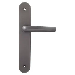 2 poignées de porte sur plaque rond Amga, entraxe 195mm, coloris titane
