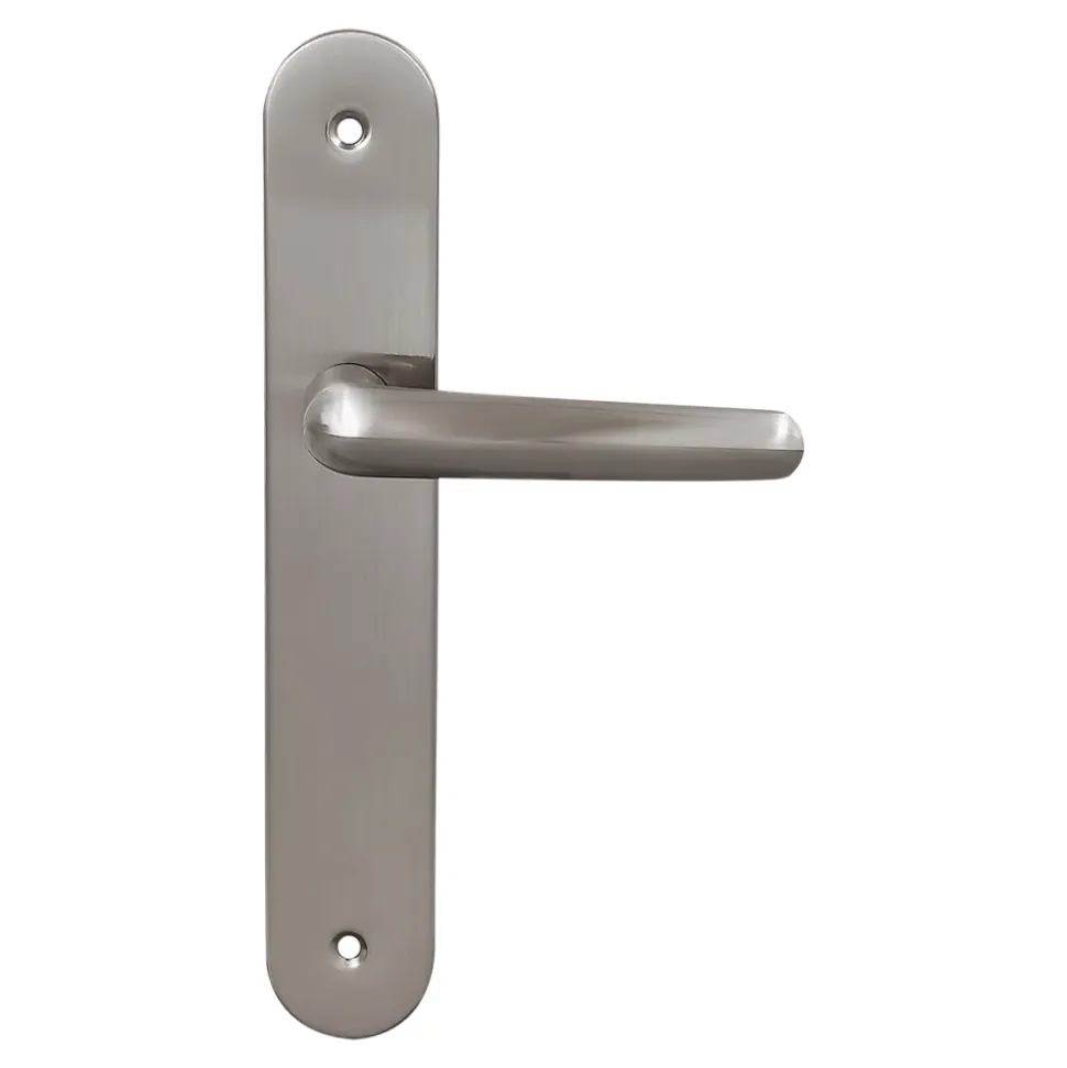 2 poignées de porte sur plaque rond Amga, entraxe 195mm, coloris gris satiné