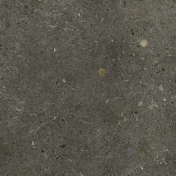 Carrelage Brera R11 : adhérence élevée Board - ADZ 60 x 60cm ( vendu par boite de 1,44 m² )