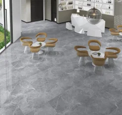 Carrelage sol brillant gris l.60 x L.60 cm Tunisia grey