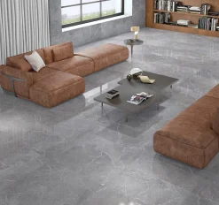 Carrelage sol brillant gris l.60 x L.60 cm Tunisia grey