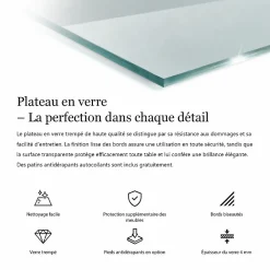 Dessus de table en verre trempé Wallfluent 100x50 cm Transparent
