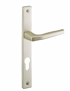 Ensemble de poignées Picardie pour porte d'entrée, trou de cylindre, entr'axes de 195mm, carré7mm, couleur champagne - THIRARD