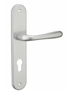 Ensemble de poignées pour porte d'entrée Pelope trou de cylindre, carré 7mm, entr'axes 195mm, argent - THIRARD