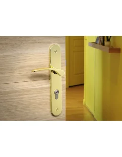 Ensemble de poignées pour porte d'entrée Dionysos trou de cylindre, carré 7mm, entr'axes 195mm, laitonné - THIRARD