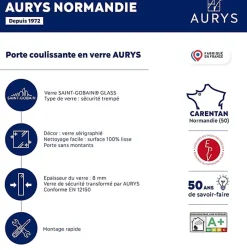 KIT Porte coulissante en verre + Rail à pince couleur Noir Coffrage - MONDO OPAQUE - H. 204 x L. 83 - Fabrication Française AURYS