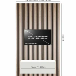 Lot de 5 panneaux tasseaux bois 250x30x1 cm - Pack Mur TV bois 150cm - Lamelles chêne clair véritable fond noir - 3,75m²