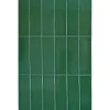 Mini Brick Ikon Lisse Green Série Revêtement Porcelaine Premium 5x15cm