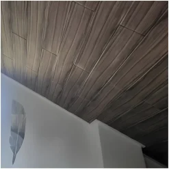 Panneaux de plafond et panneaux muraux Decoratif P13 10m² / 20pièces