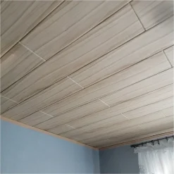 Panneaux de plafond et panneaux muraux Decoratif P12 2m² / 12pièces