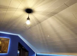 Panneaux de plafond et panneaux muraux Decoratif P08 2m² / 12pièces