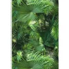 Papier peint Jungle Palm - Vert - A.S. CREATION - 10 x 0,53m - Chambre - A coller - Floral et végétal