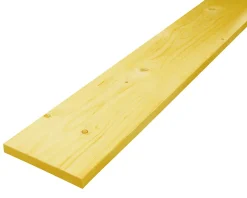 Planche bois traitée 200 x 27 mm, L.3 m