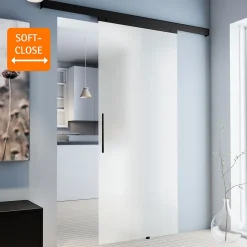 Porte Coulissante Complète Schulte 90x203 - Rail Noir - Verre De Sécurité - Verre Sablé - Poignée Barre -softclose