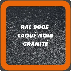Verrière 2 grands carreaux - L x H : 65,2 x 141,9 cm - Laqué noir 9005 granité - vitrages inclus