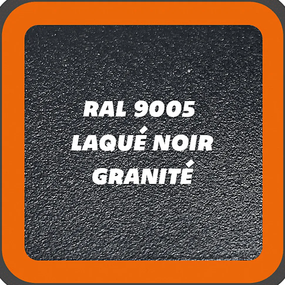 Verrière Loft 5 sections - L x H : 160 x 150 cm - Laqué noir 9005 granité - vitrages inclus